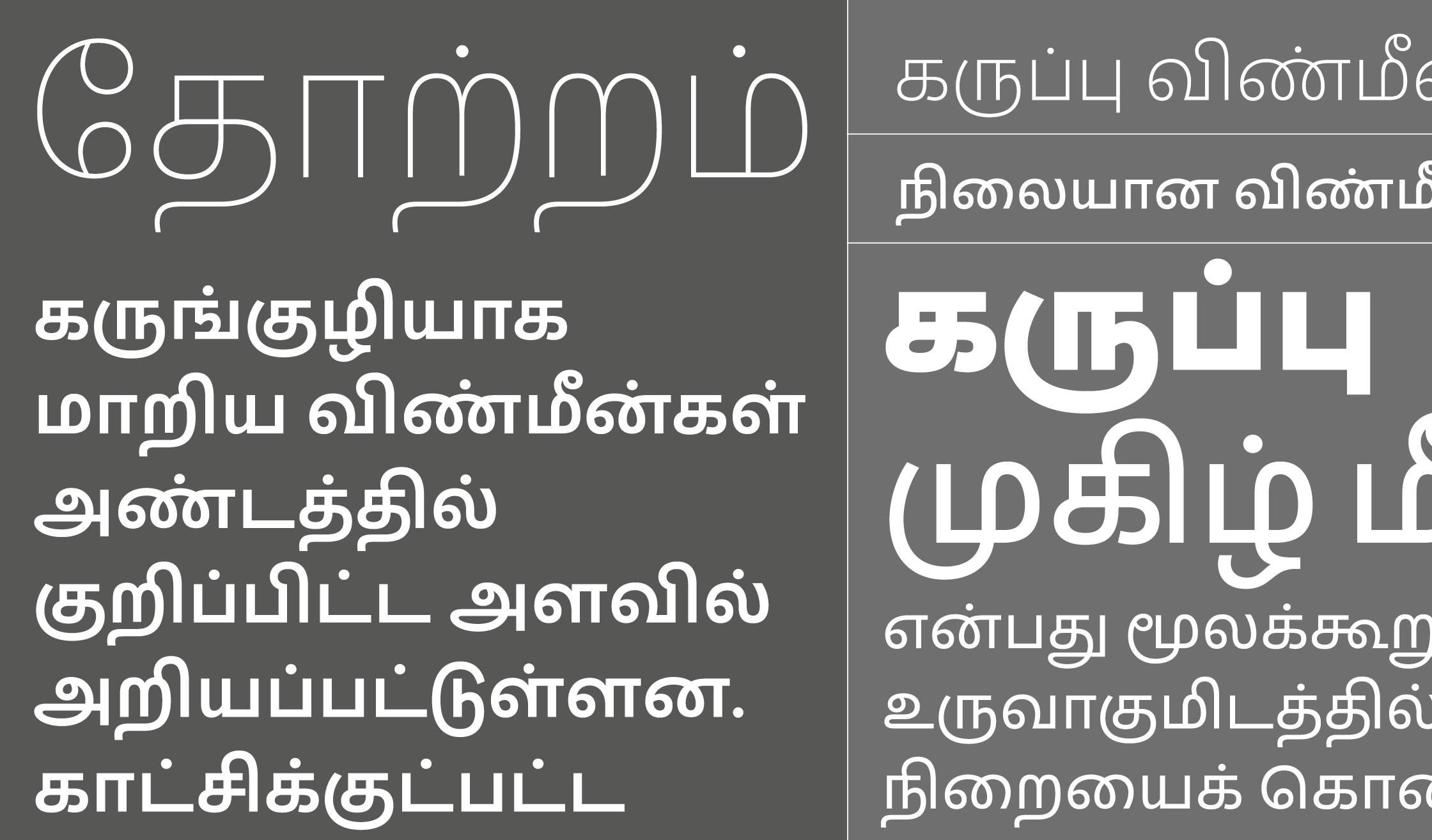 Proxima Nova Tamil sample 4